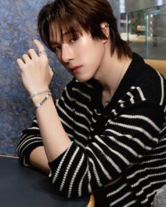 นานิ หิรัญกฤษฎิ์